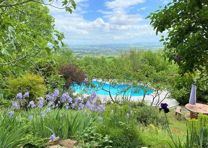 Les Hauts De Jeanvert - Le Chene - Piscine - *