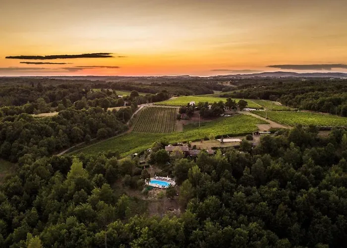 Les Hauts De Jeanvert - Le Chene - Piscine - Gaillac