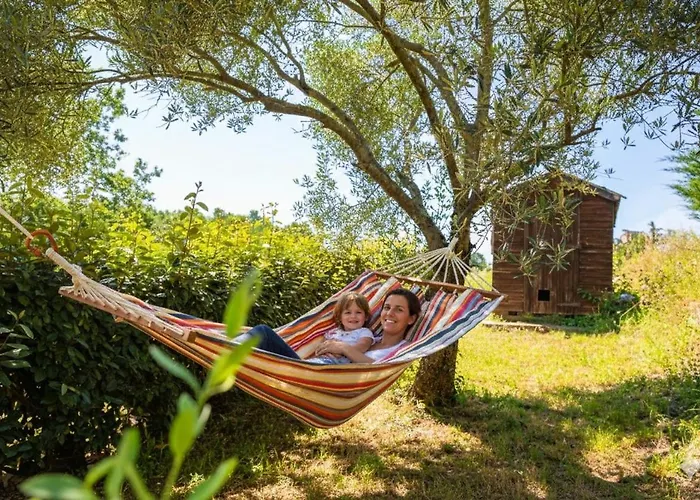 Les Hauts De Jeanvert - Le Chene - Piscine - * Gaillac
