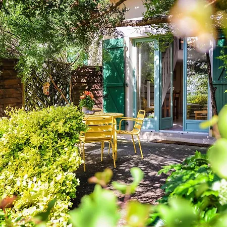 Casa de Férias Les Hauts De Jeanvert - Le Chêne - Piscine - Gaillac