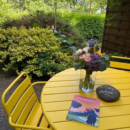 Les Hauts De Jeanvert - Le Chêne - Piscine -