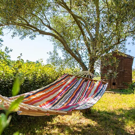Les Hauts De Jeanvert - Le Chêne - Piscine - Casa de Férias Gaillac