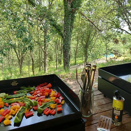 Les Hauts De Jeanvert - Le Chêne - Piscine - Gaillac