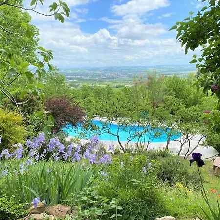 Les Hauts De Jeanvert - Le Chêne - Piscine - *