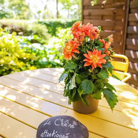 Casa de Férias Les Hauts De Jeanvert - Le Chêne - Piscine - *