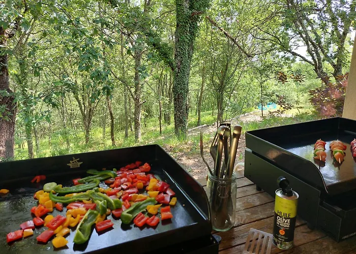 Les Hauts De Jeanvert - Le Chene - Piscine - ガイヤック